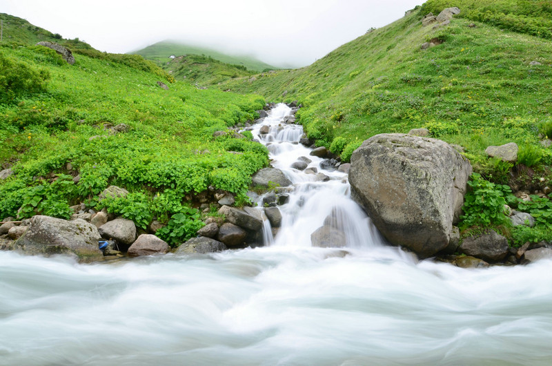 数字氧化氮气敏传感器